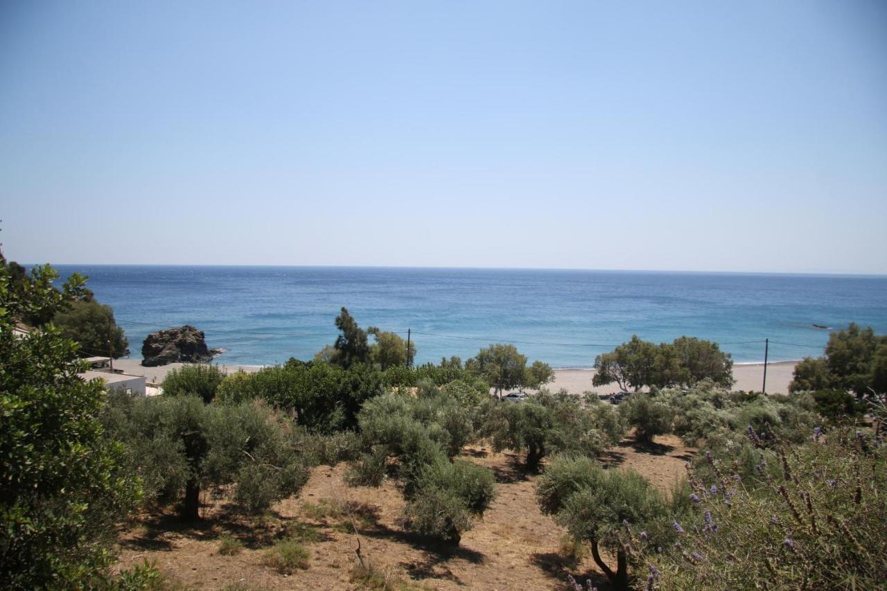 Kleanthis Apartments Rodhákinon Bilik gambar